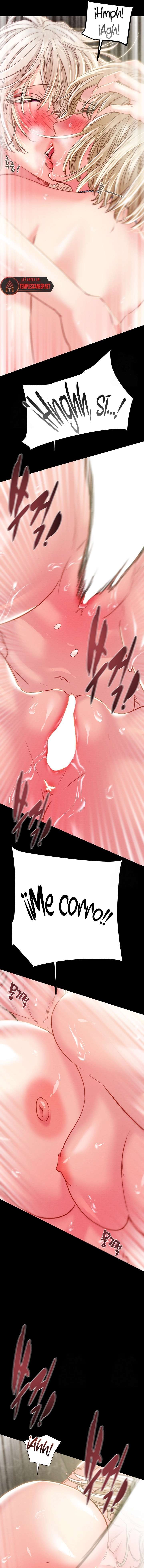 El Saqueador Capítulo 57 - Page 15