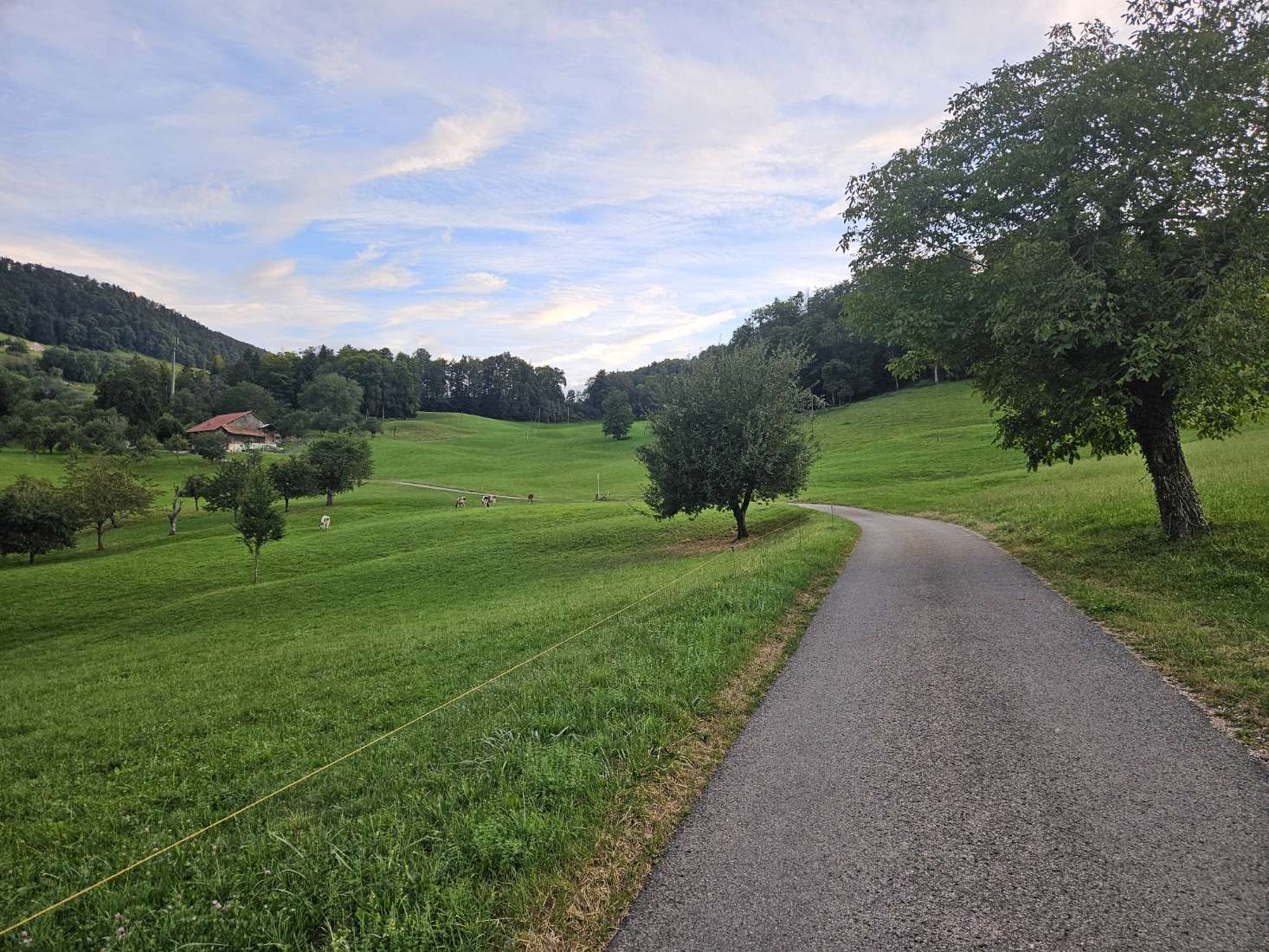 Rakujitsu no Pathos Capítulo 3 - Page 10