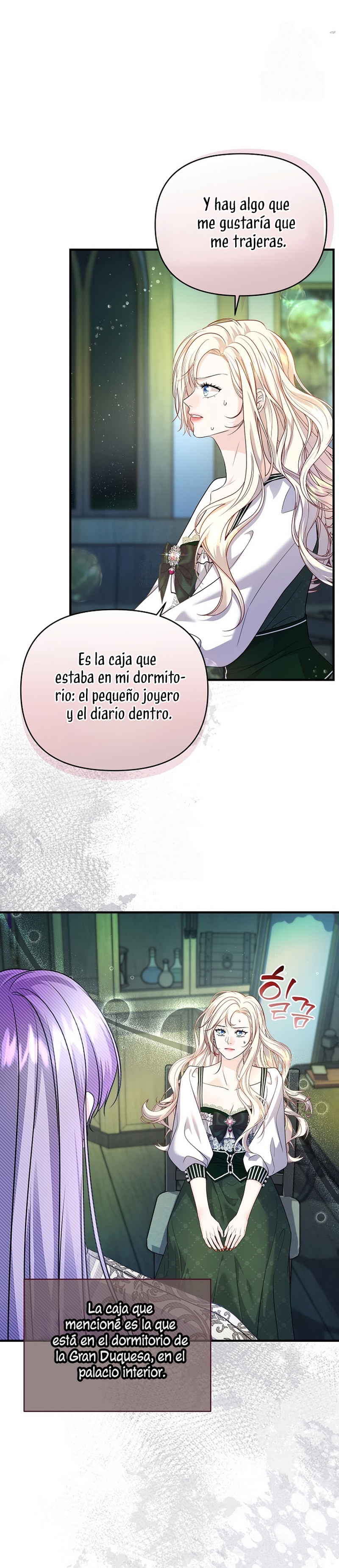 El Gran Duque Del Norte Capítulo 73 - Page 22