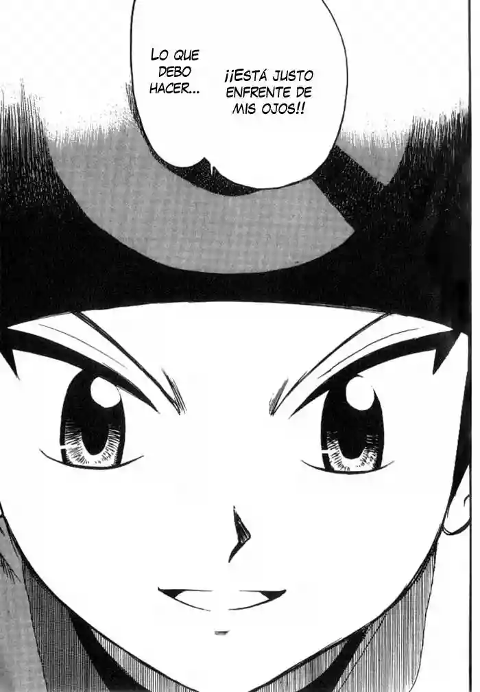 Pokémon Special Capítulo 238 - Page 8