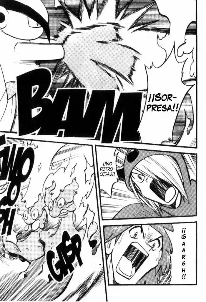 Pokémon Special Capítulo 247 - Page 14