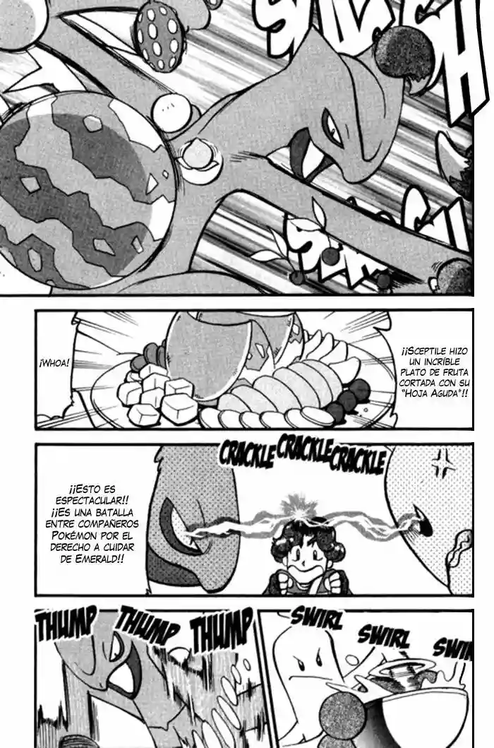 Pokémon Special Capítulo 318 - Page 19