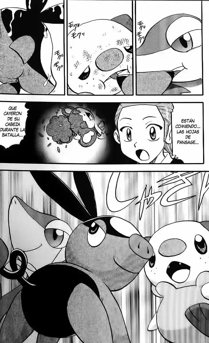 Pokémon Special Capítulo 470 - Page 19