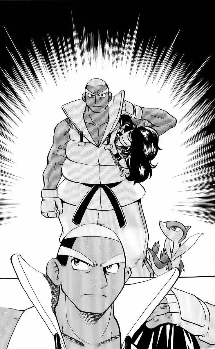 Pokémon Special Capítulo 486 - Page 3