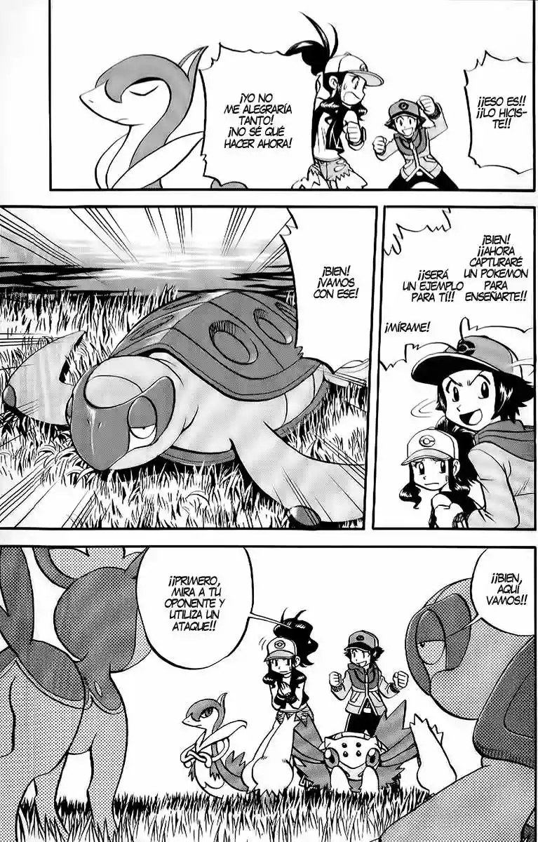Pokémon Special Capítulo 488 - Page 12