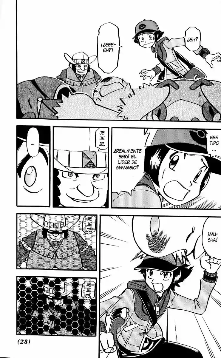 Pokémon Special Capítulo 489 - Page 17