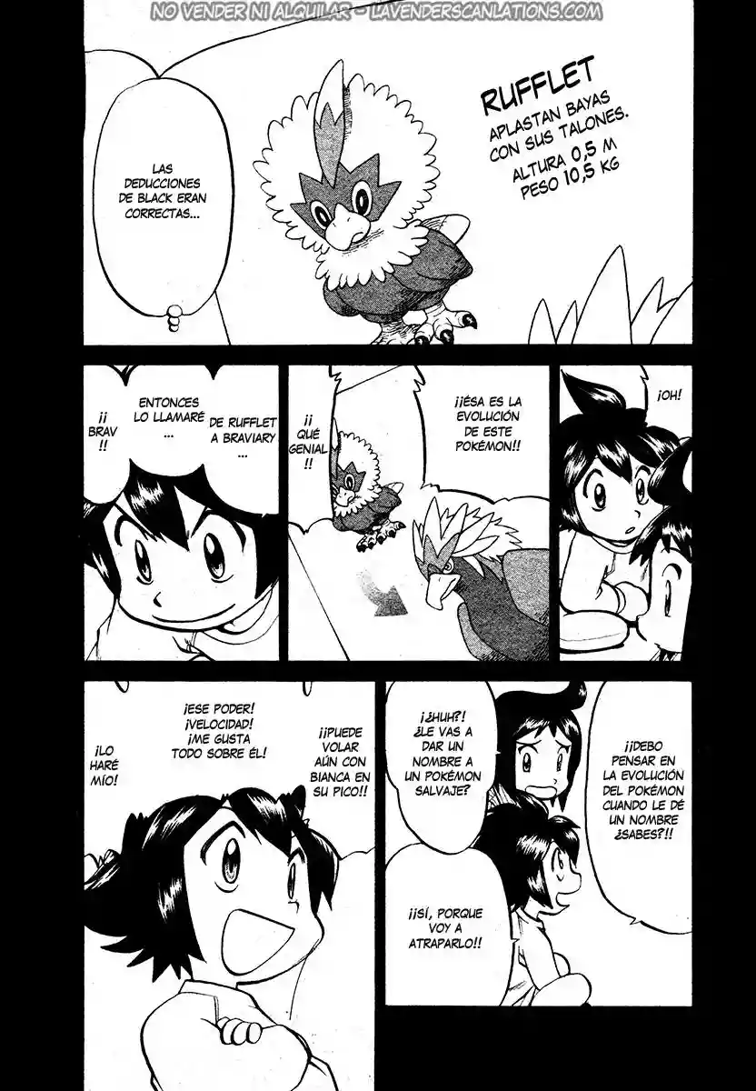 Pokémon Special Capítulo 503 - Page 10