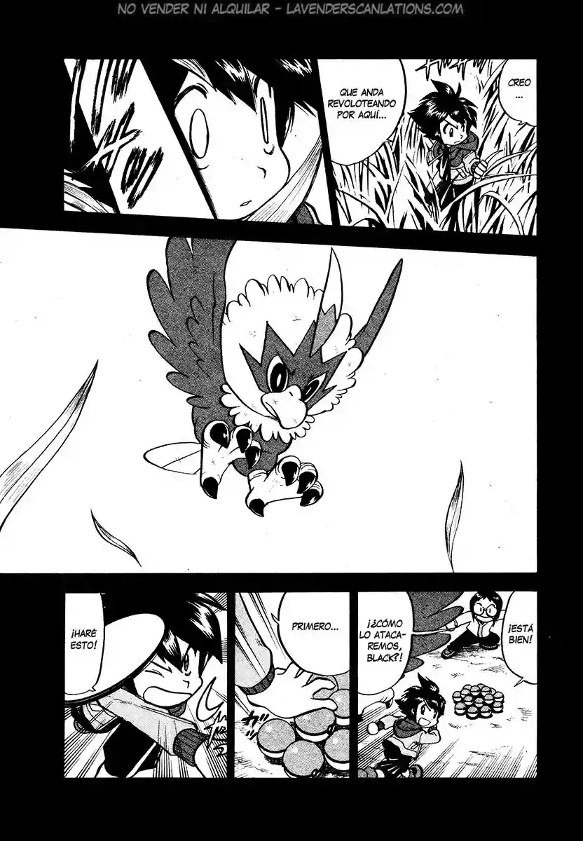 Pokémon Special Capítulo 503 - Page 12