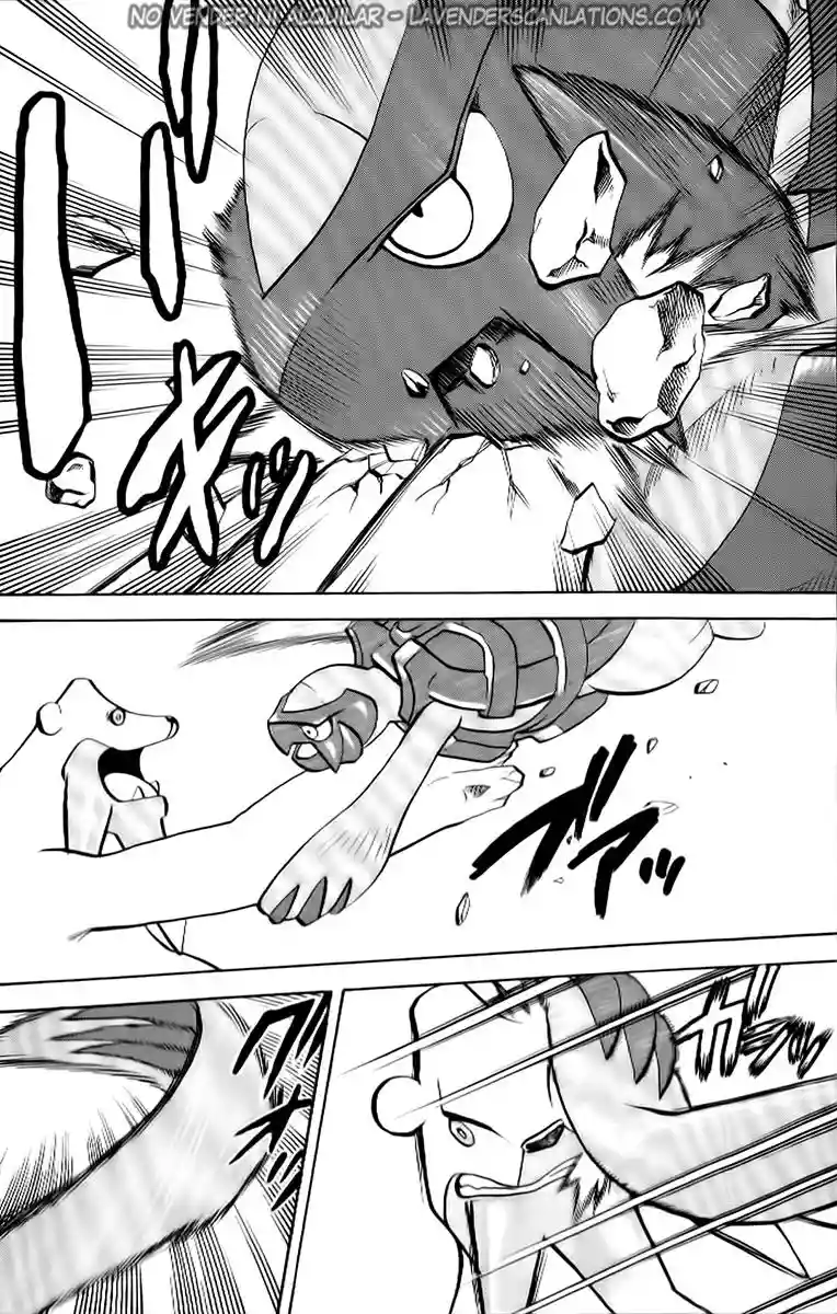 Pokémon Special Capítulo 505 - Page 21