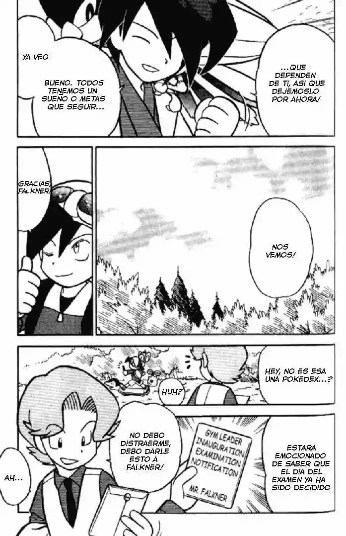 Pokémon Special Capítulo 99 - Page 17