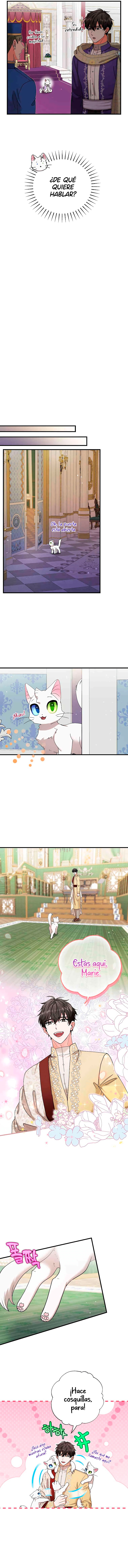Me convertí en el gato del emperador Capítulo 17 - Page 6