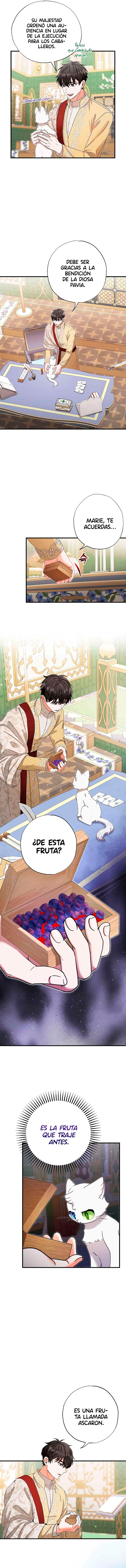 Me convertí en el gato del emperador Capítulo 17 - Page 7
