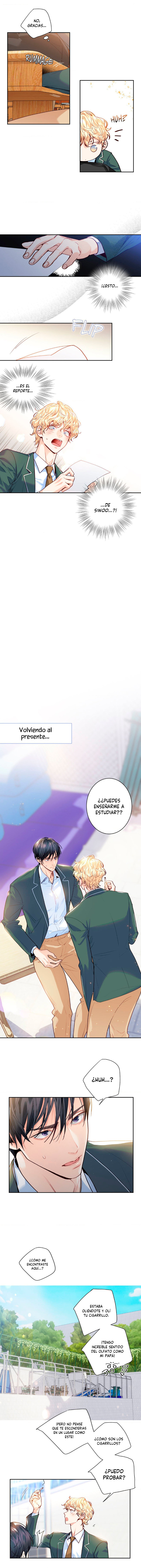 ¡El amor es una ilusión! – Superestrella Capítulo 11 - Page 5