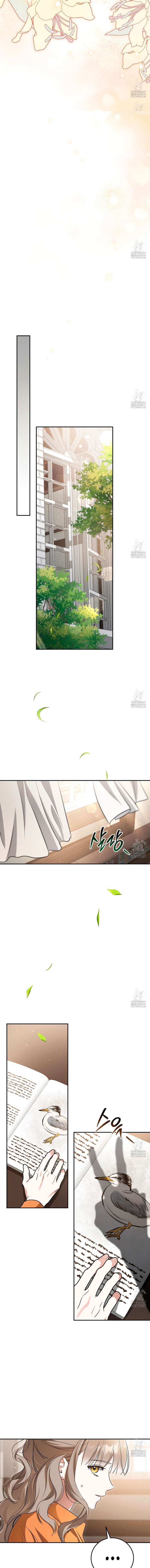 Amor Carcelario Capítulo 11 - Page 9