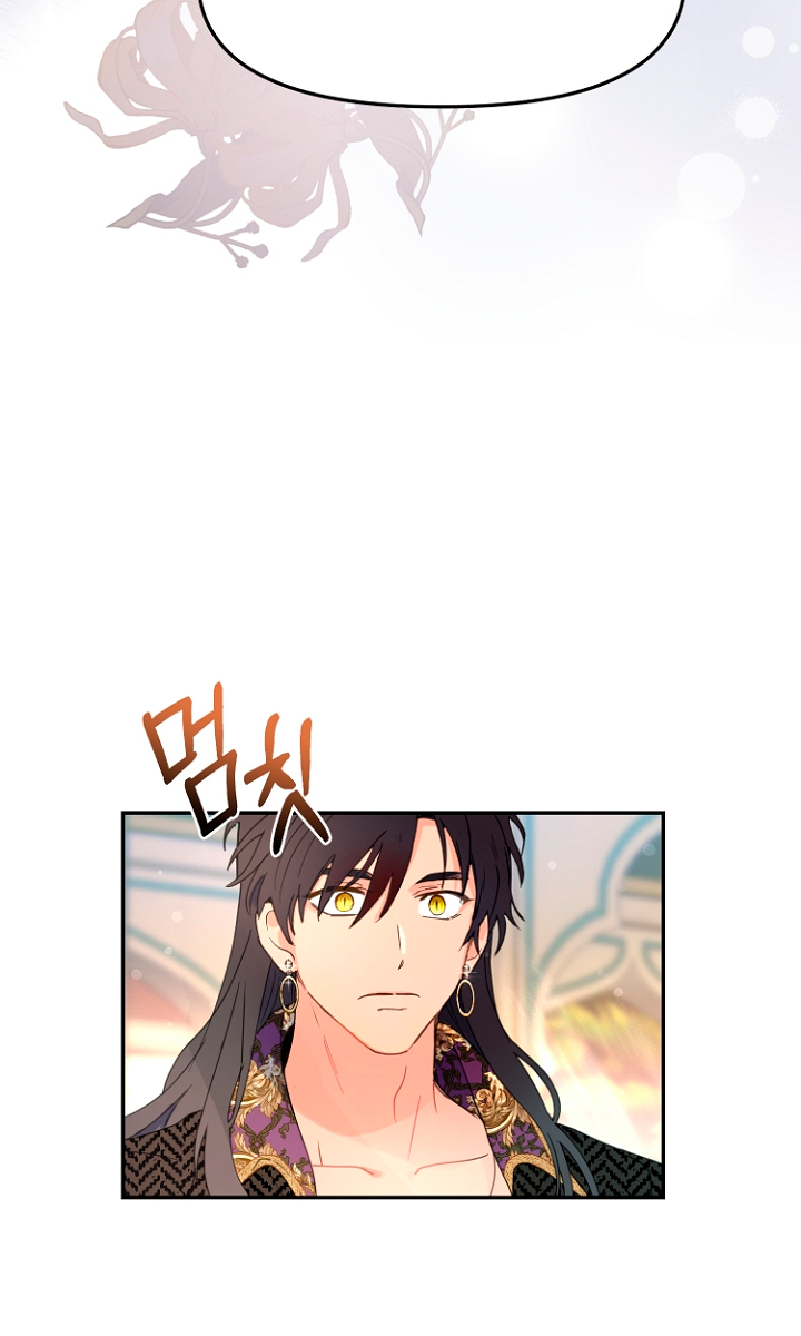 Terminé con mi esposo, ahora iré a hacer dinero Capítulo 12 - Page 13