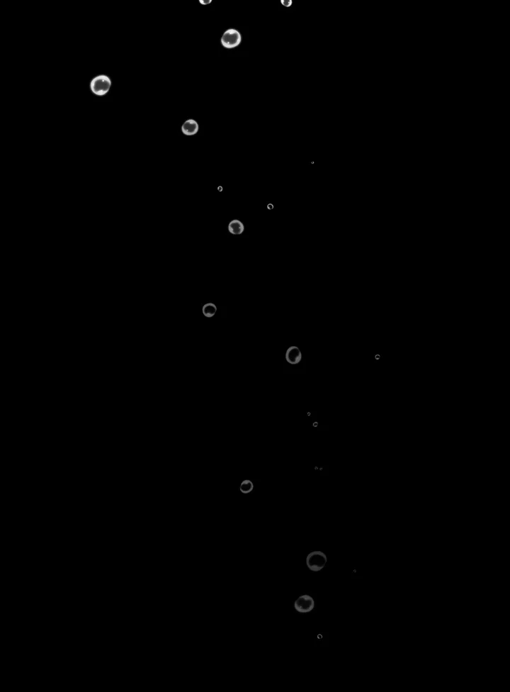 Smoking Hypnosis Capítulo 21 - Page 4