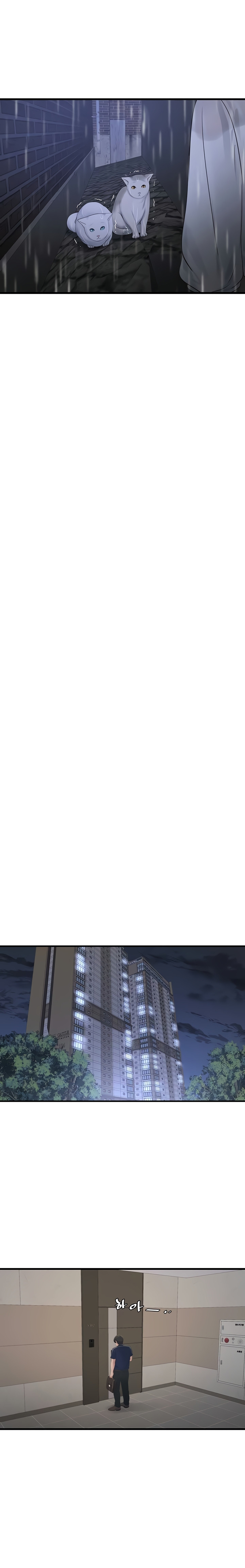 Diario de inspección de ajummas Capítulo 101 - Page 12