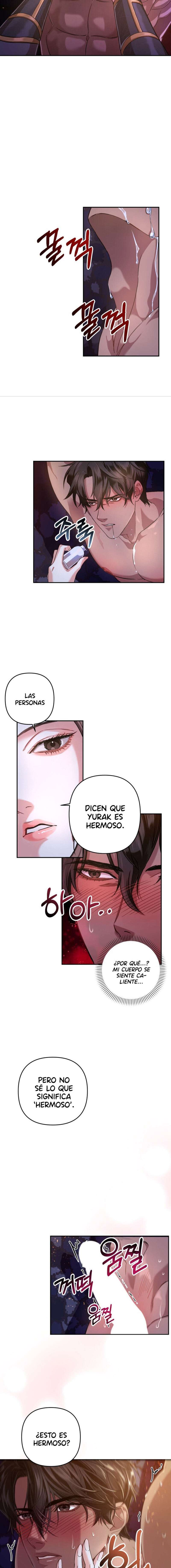 Acerca de la destrucción exclusiva Capítulo 1 - Page 13