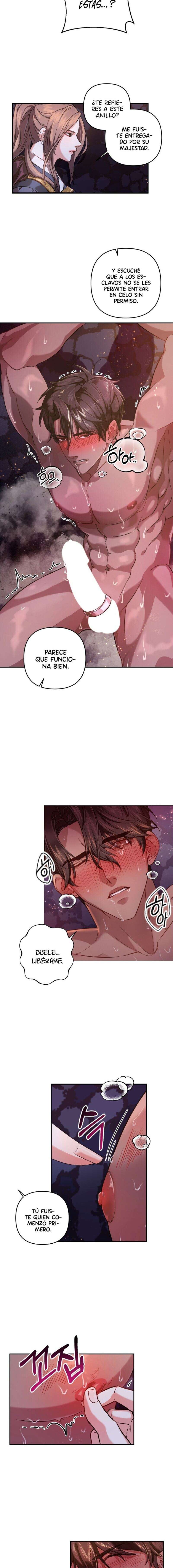 Acerca de la destrucción exclusiva Capítulo 1 - Page 15