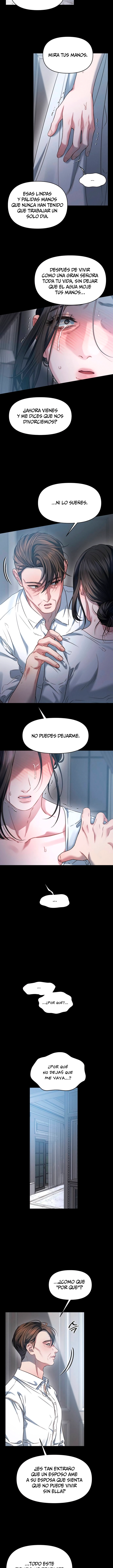 Anhelo Elegante Capítulo 102 - Page 11