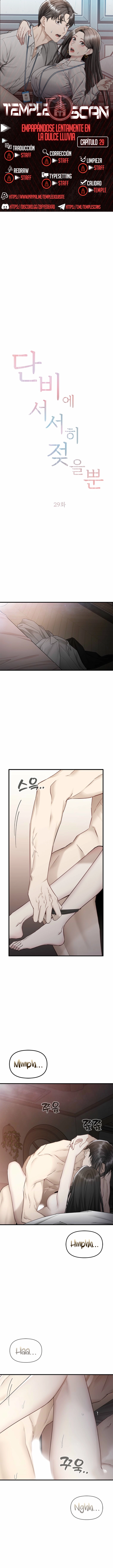 Empapandose Lentamente En La Dulce Lluvia Capítulo 29 - Page 1