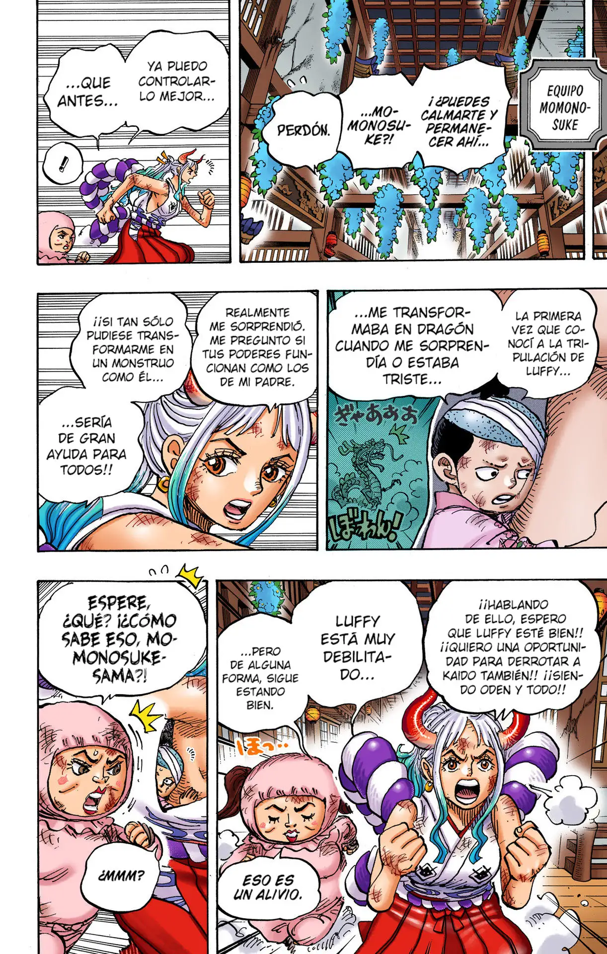 One Piece Capítulo 1008 - Page 14