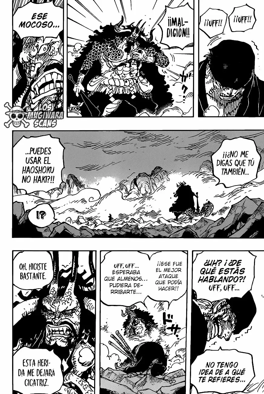One Piece Capítulo 1010.5 - Page 10
