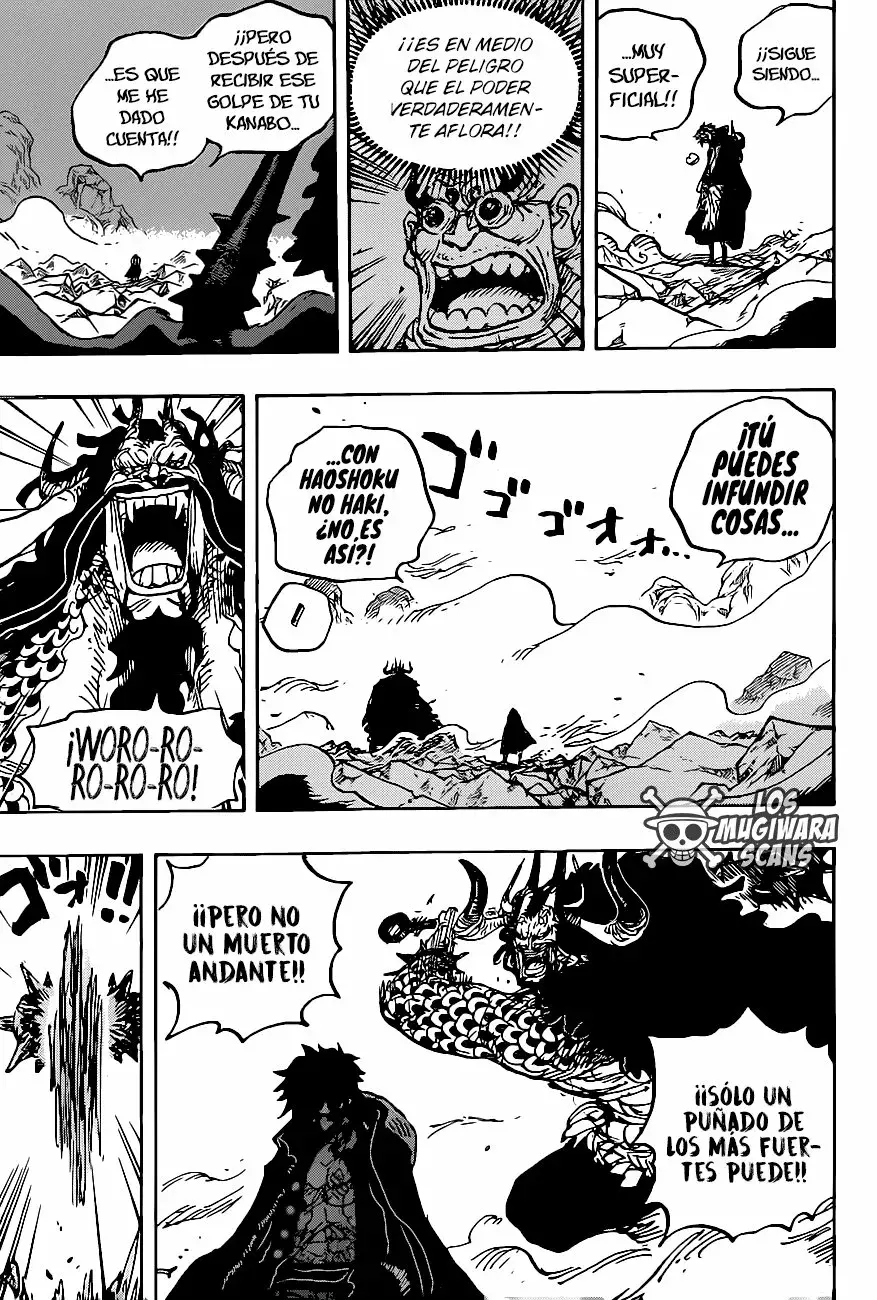 One Piece Capítulo 1010.5 - Page 13