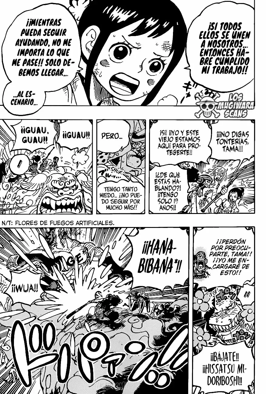 One Piece Capítulo 1011.5 - Page 14