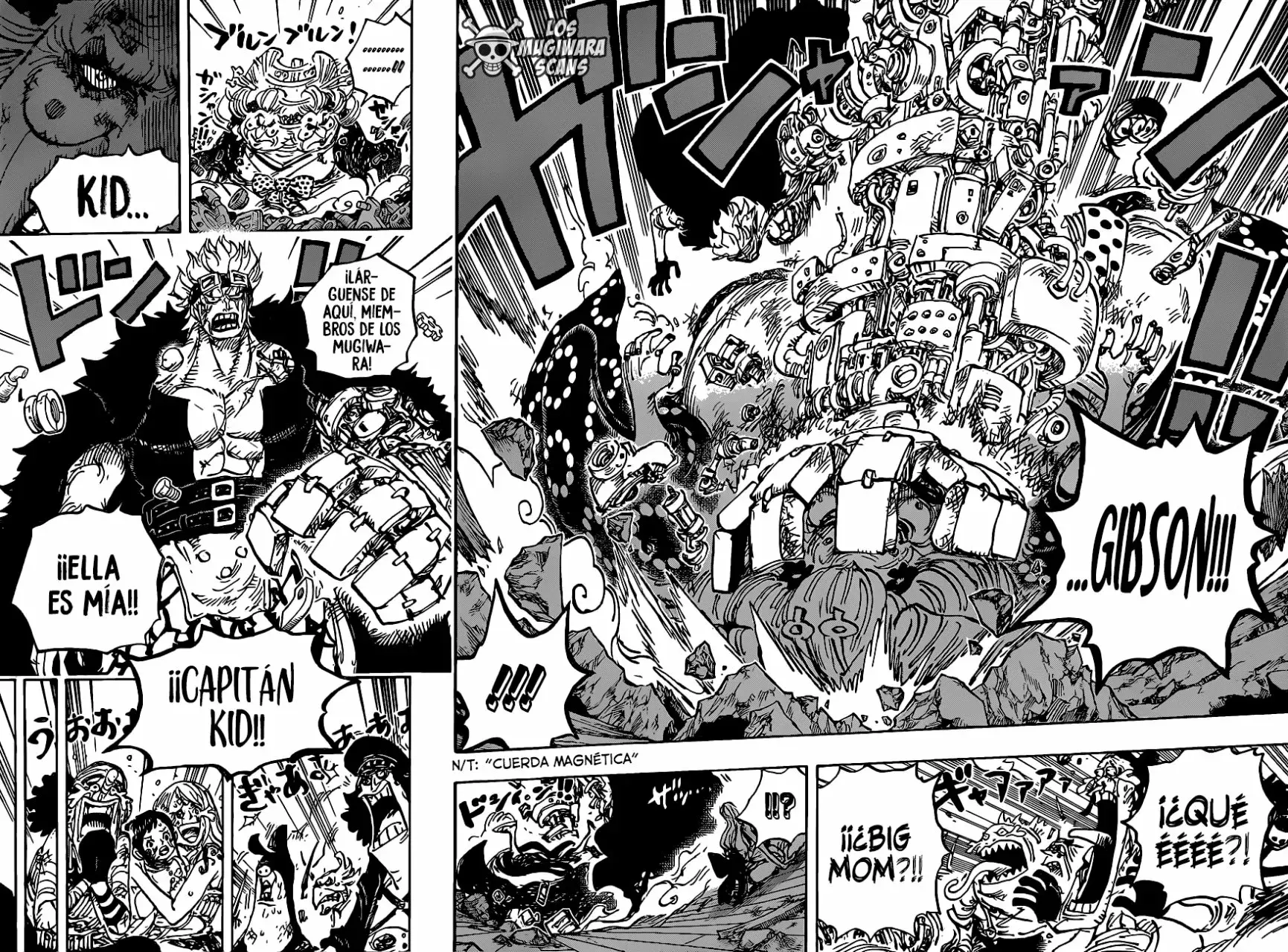 One Piece Capítulo 1013.5 - Page 14