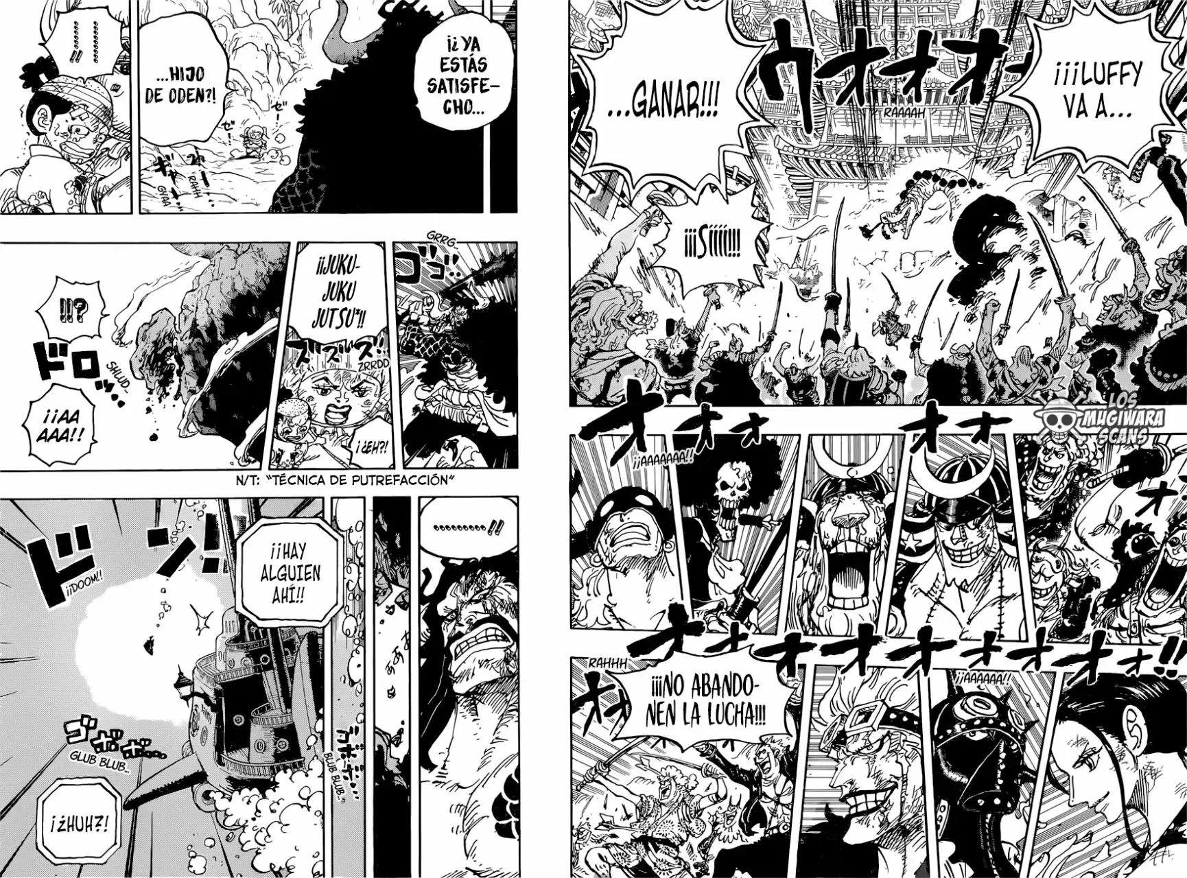 One Piece Capítulo 1015.5 - Page 14