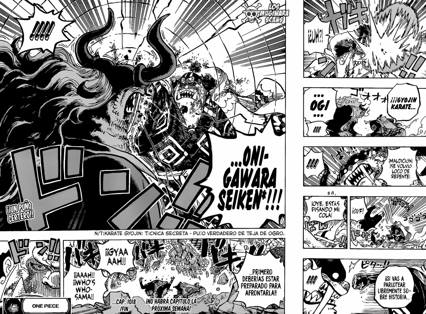One Piece Capítulo 1018.5 - Page 17