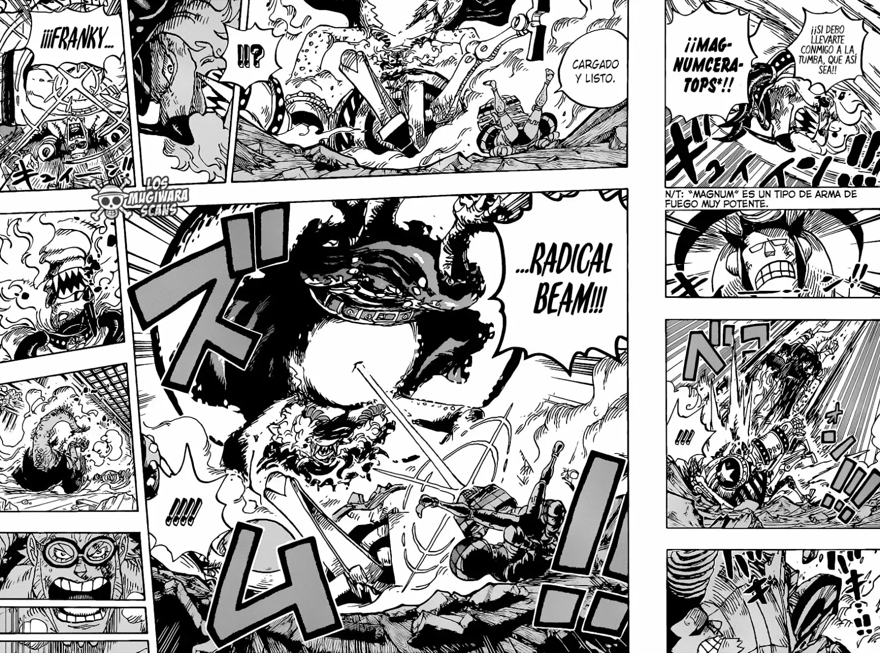 One Piece Capítulo 1019.5 - Page 17