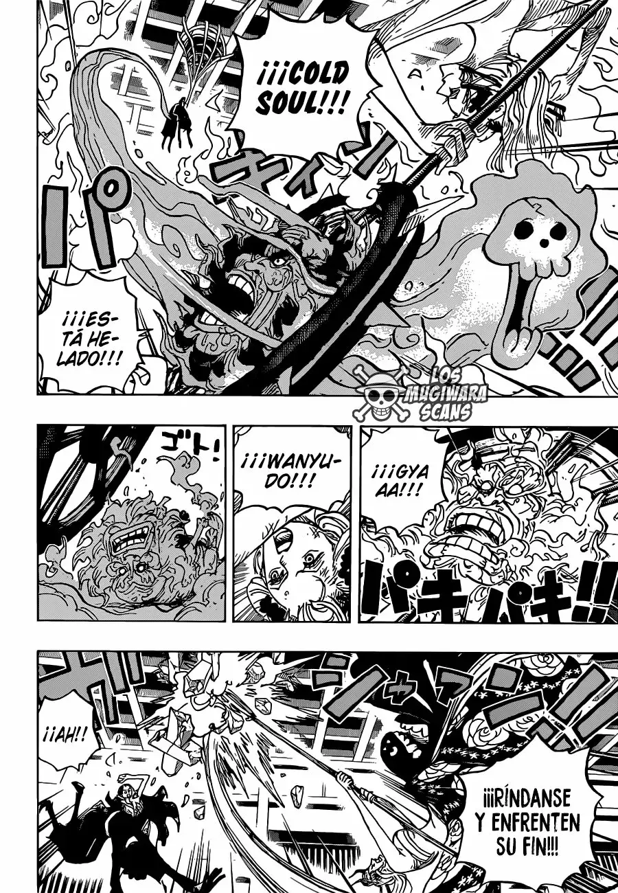One Piece Capítulo 1020.5 - Page 13