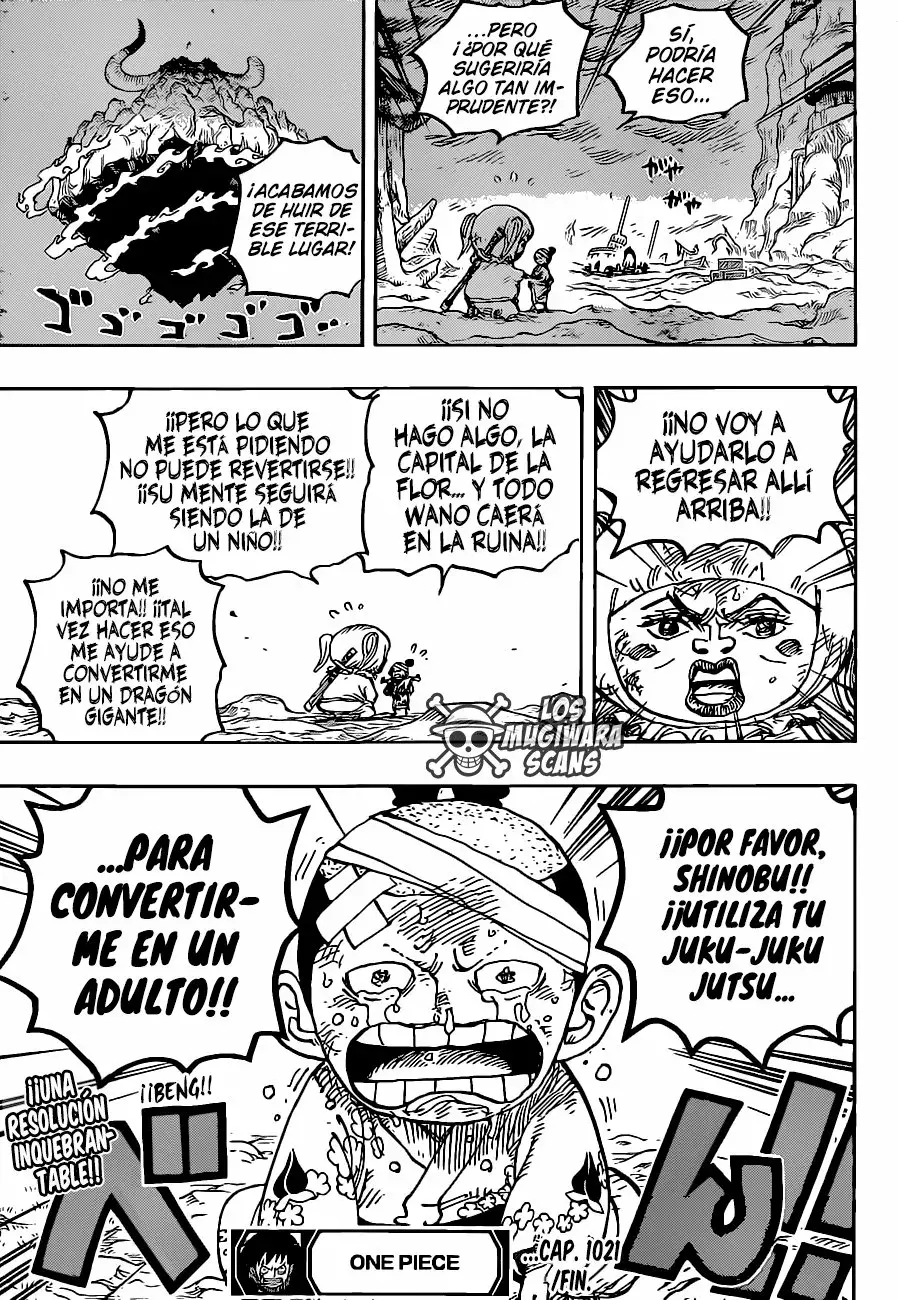 One Piece Capítulo 1021.5 - Page 17