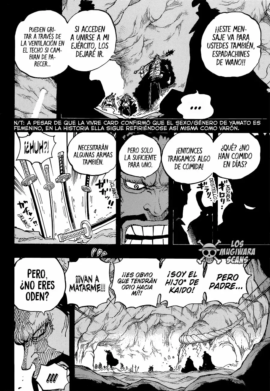 One Piece Capítulo 1024.5 - Page 13