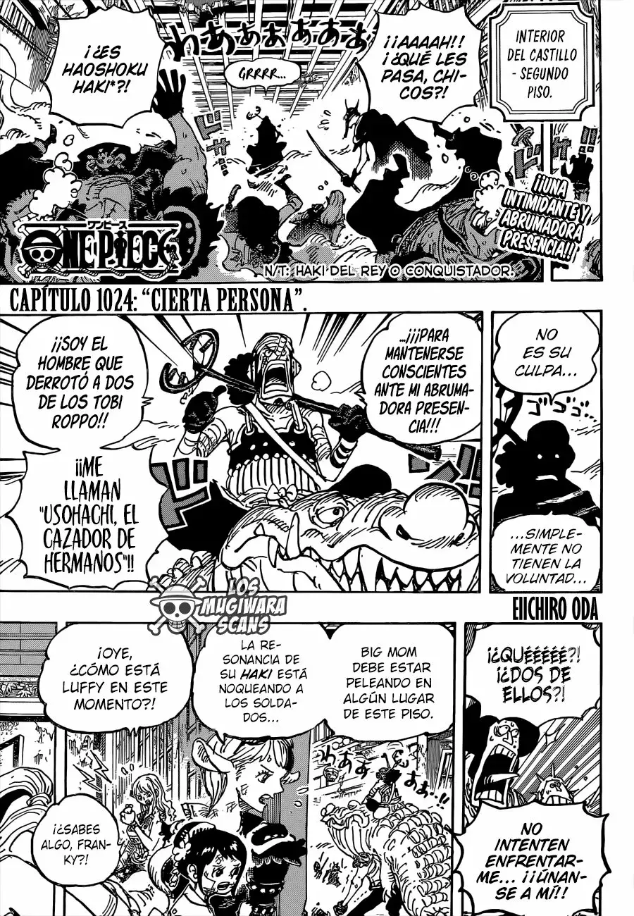 One Piece Capítulo 1024.5 - Page 4