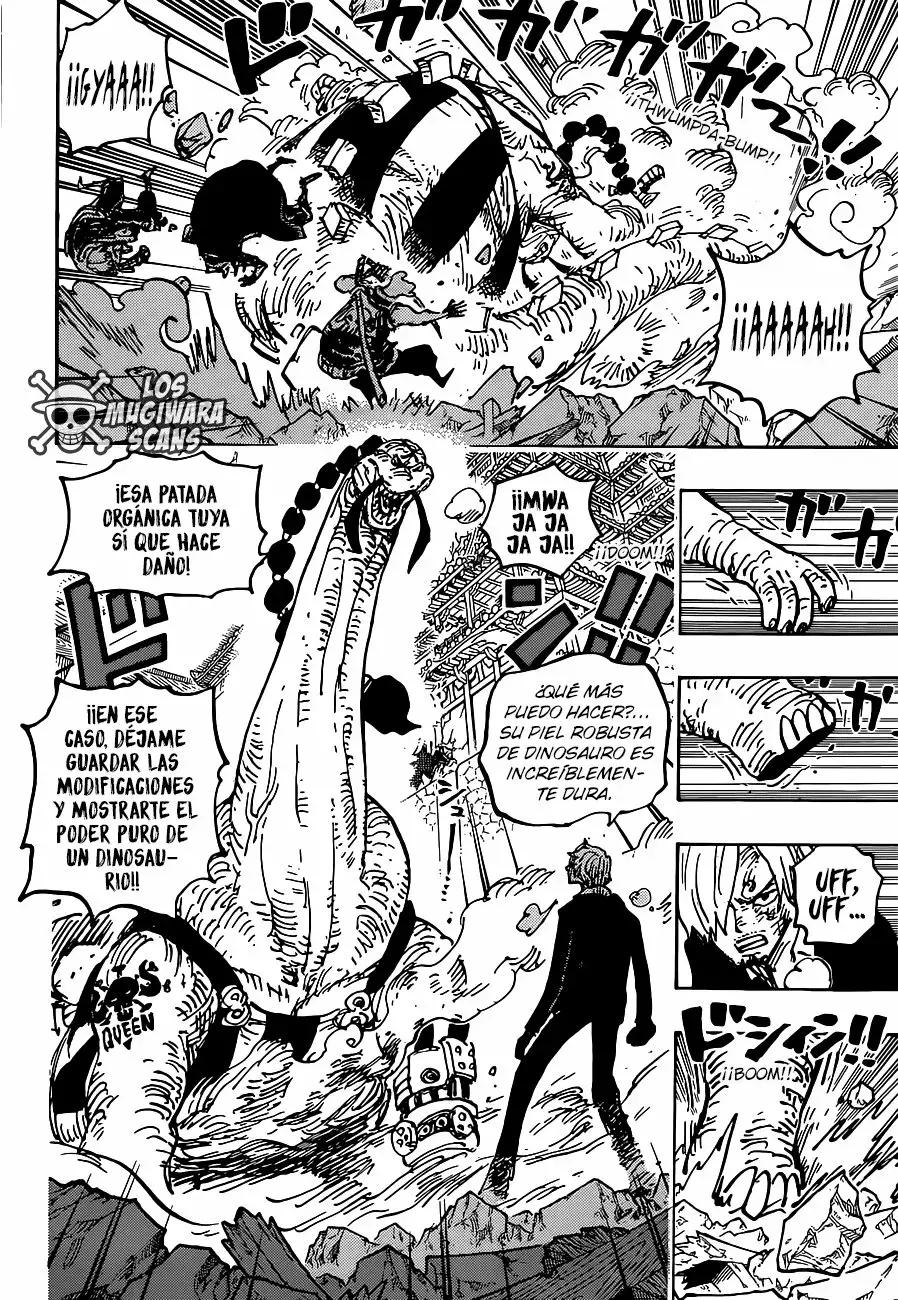 One Piece Capítulo 1028.5 - Page 13