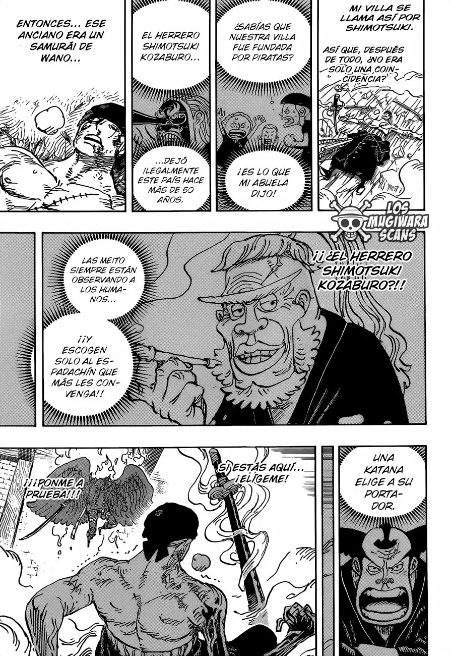 One Piece Capítulo 1033.5 - Page 16