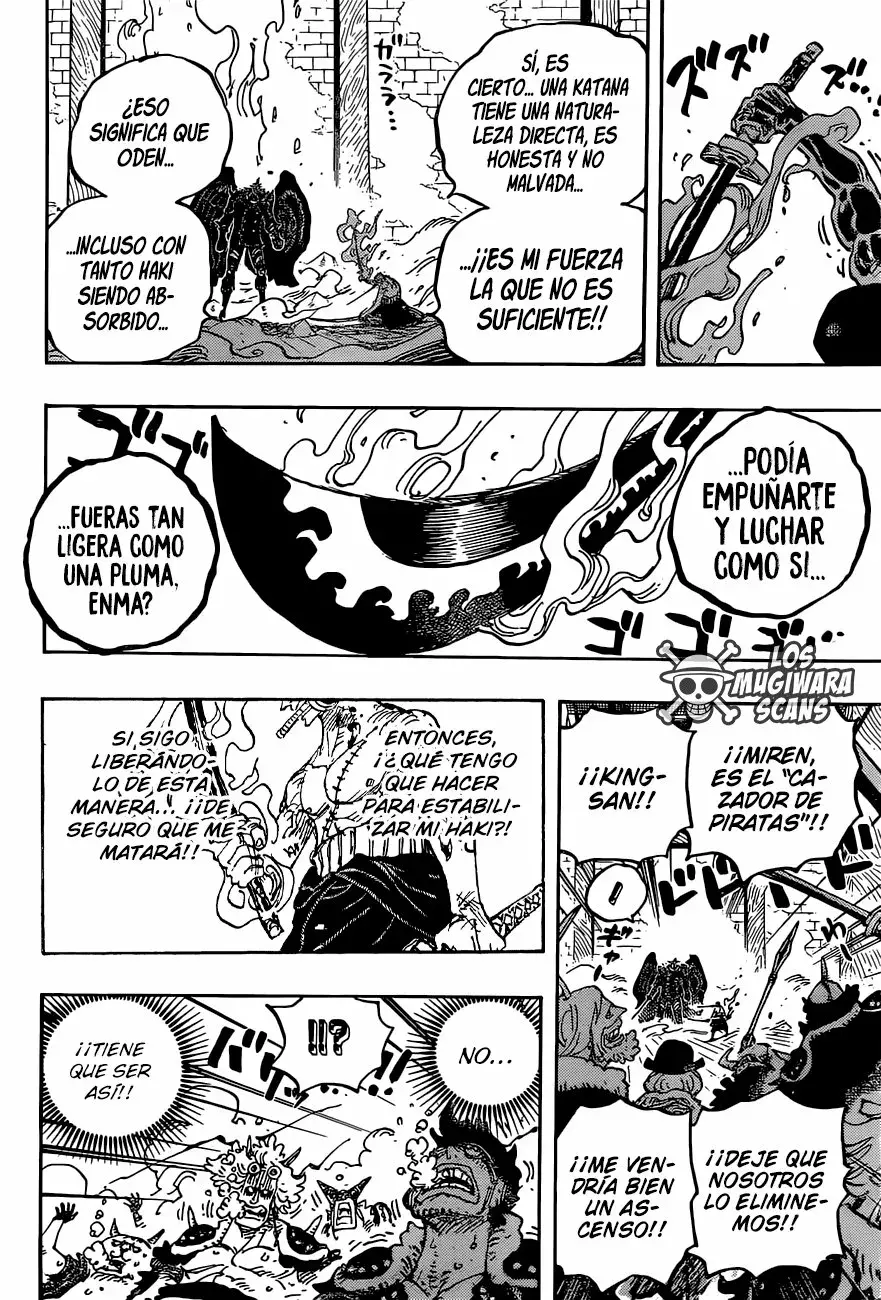 One Piece Capítulo 1033.5 - Page 17