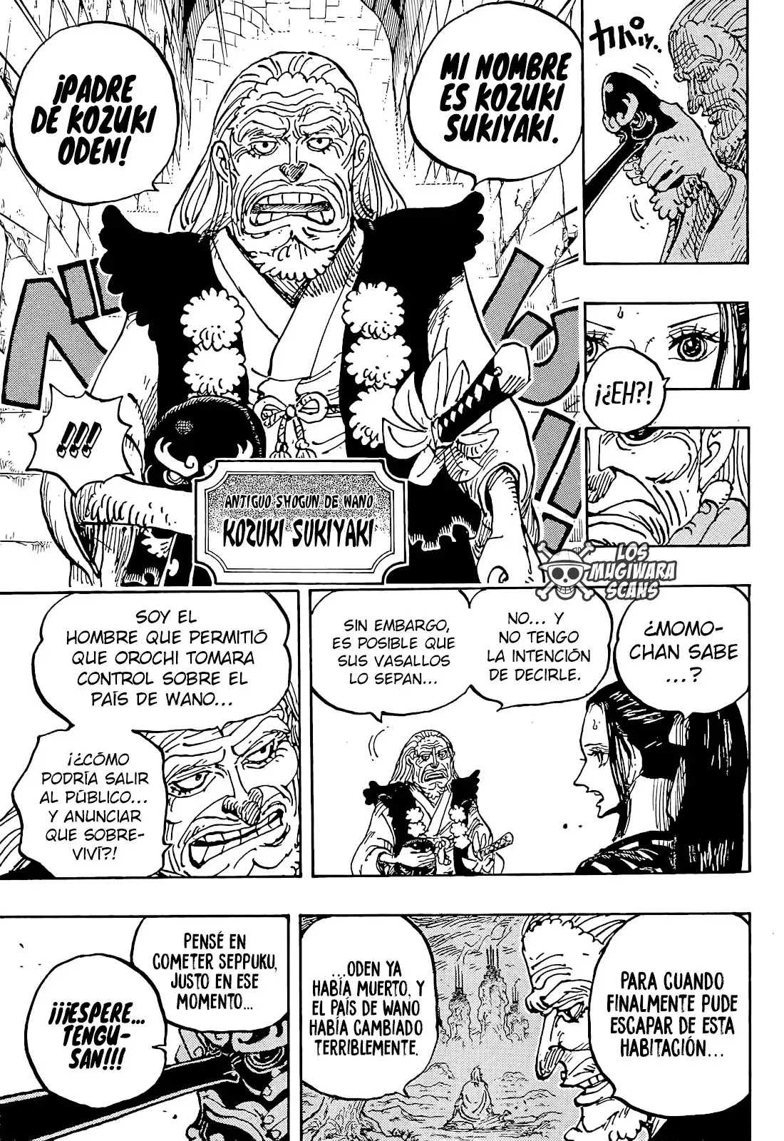 One Piece Capítulo 1053 - Page 9