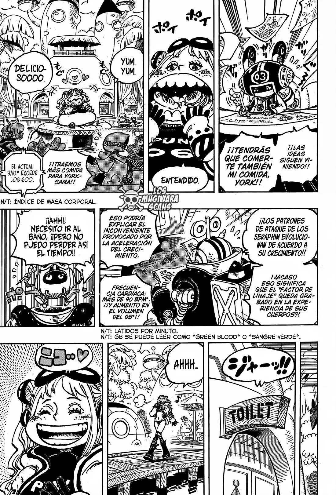 One Piece Capítulo 1065 - Page 15