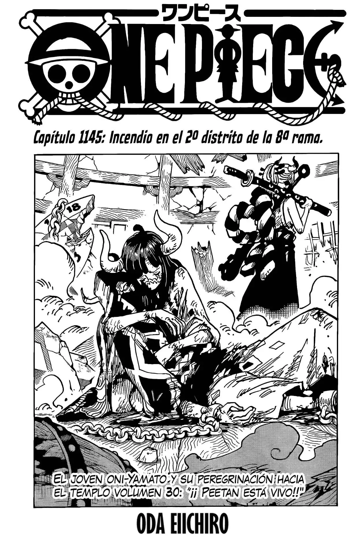 One Piece Capítulo 1145 - Page 4