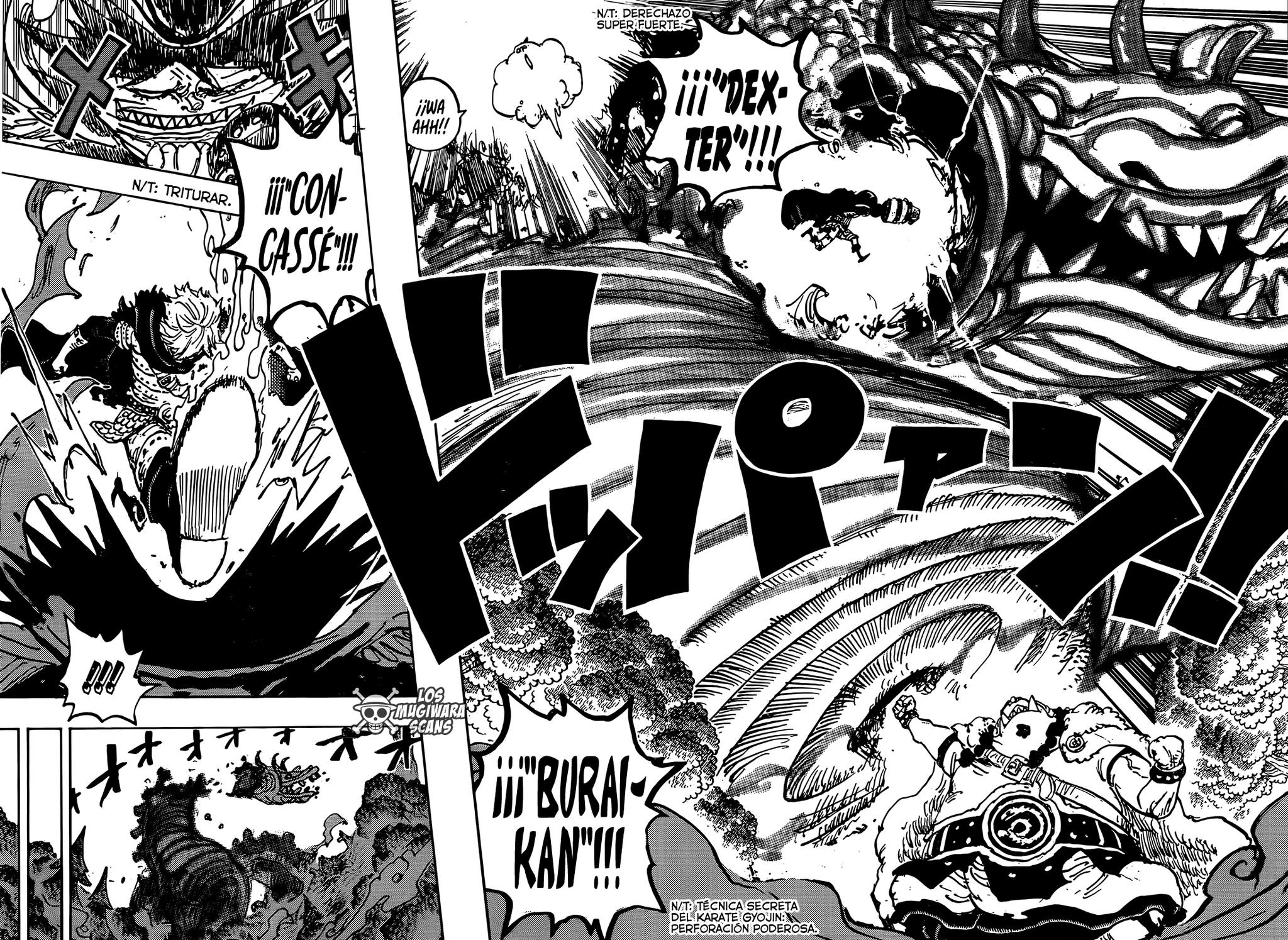 One Piece Capítulo 1176 - Page 14