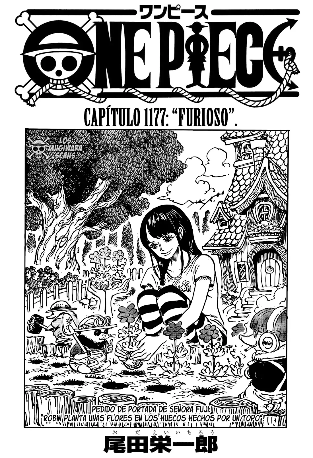 One Piece Capítulo 1177 - Page 3