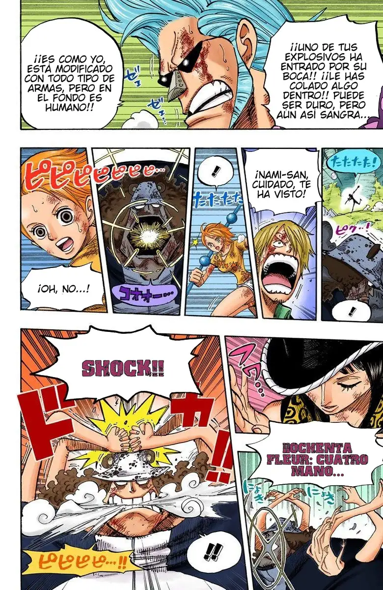 One Piece Capítulo 510 - Page 14