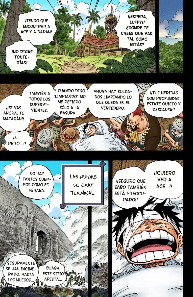 One Piece Capítulo 587 - Page 17