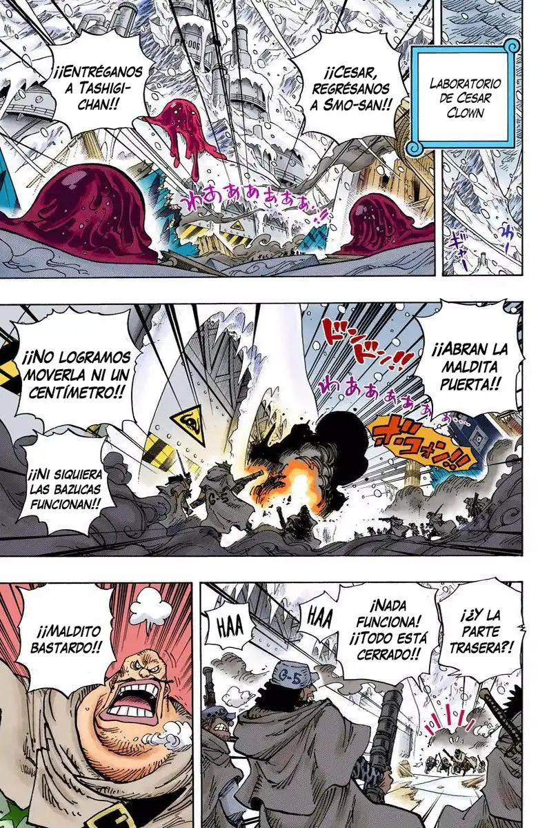 One Piece Capítulo 673 - Page 13