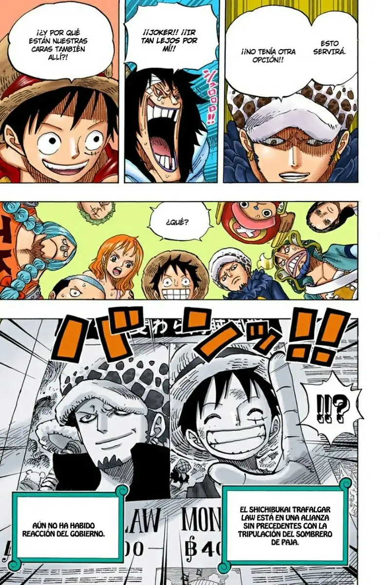 One Piece Capítulo 699 - Page 16