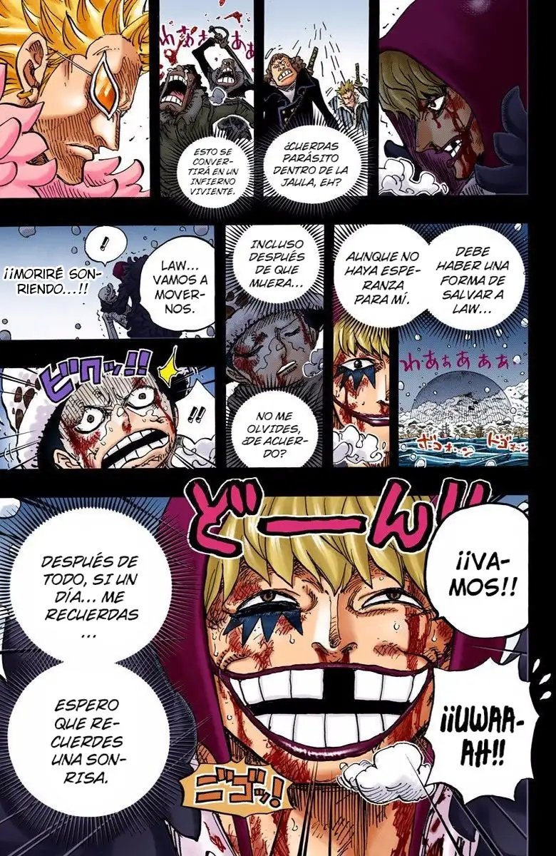 One Piece Capítulo 766 - Page 16